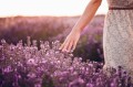 iStock-482779648.jpg