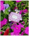 Plakat PUCCINI Lovely Pink.jpg